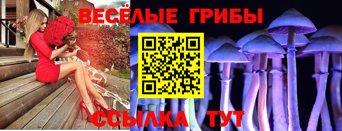 Галлюциногенные грибы Psilocybine cubensis Кинель