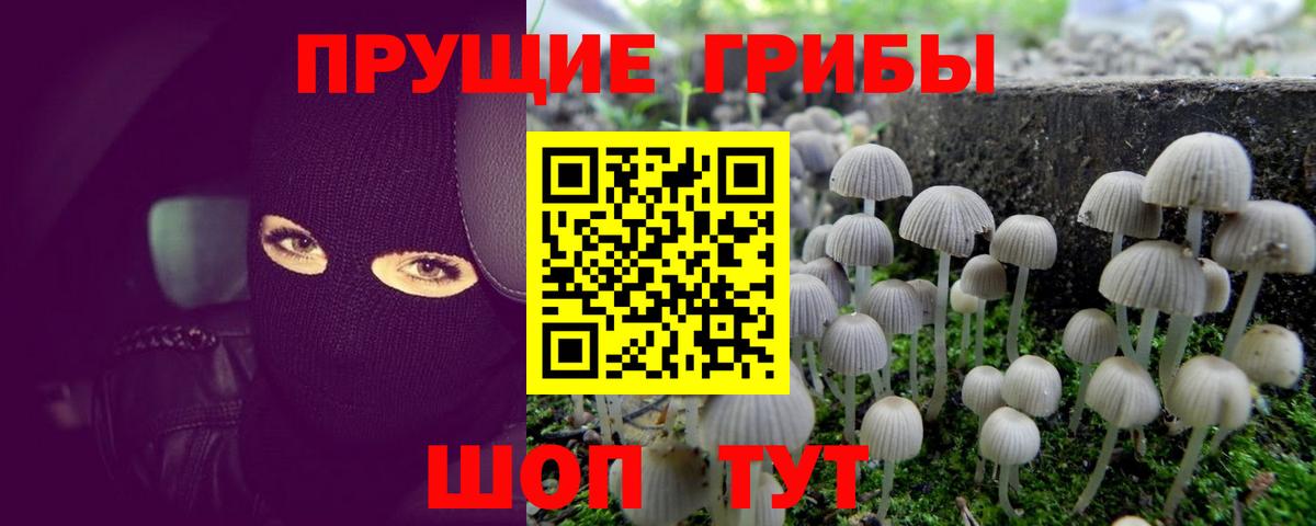 Псилоцибиновые грибы ЛСД  Вход с VPN  Кинель  Галлюциногенные грибы Cubensis 